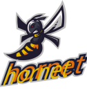 logo_10_hornet.png